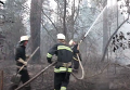 Тушение пожара под Киевом. Видео