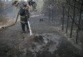 Тушение пожара под Киевом