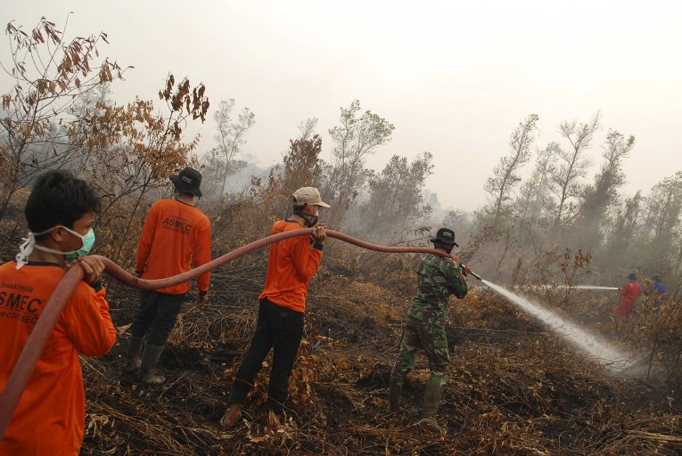 Солдаты и добровольцы тушат торфяники в индонезийской провинции Риау.