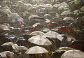 Протестующие во время сильного дождя, вызванного тайфуном, в Токио