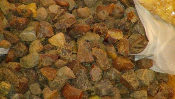 В Волынской области налоговики изъяли 13 килограммов янтаря