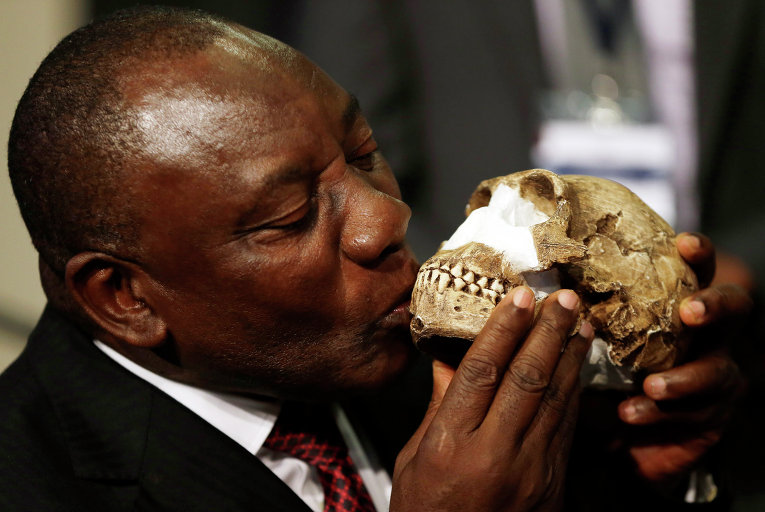 Вице-президент ЮАР Сирил Рамафоза целует реконструкцию Homo naledi, новый вид человека.