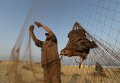 Палестинец ставит сети для ловли перепелов в Секторе Газа