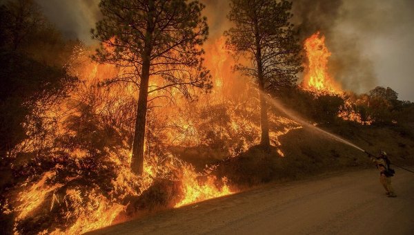 Лесные пожары в США. Архивное фото