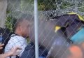 Железный занавес для мигрантов в Венгрии. Видео