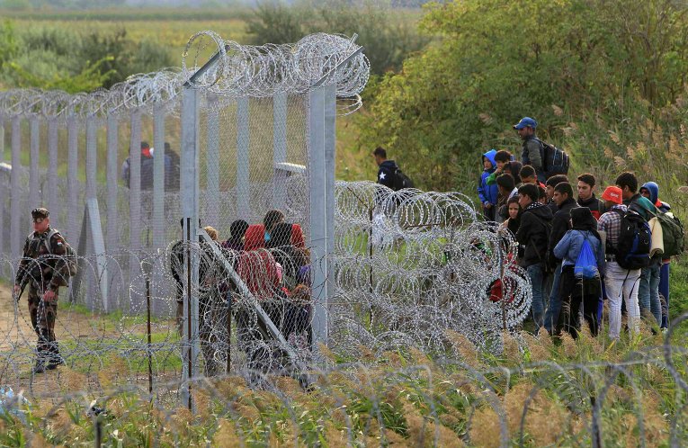 Нелегальные мигранты на венгерско-сербской границе