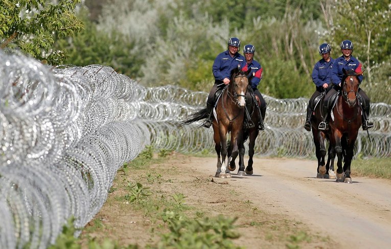 Венгерские полицейские патрулирую границу, выслеживая нелегальных мигрантов