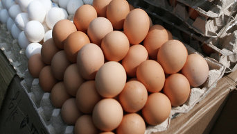 Торговля куриными яйцами. Архивное фото