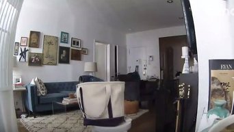 Кража в квартире в США. Видео