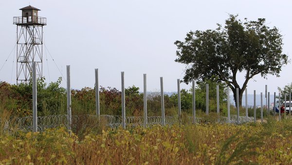 Венгрия строит забор от мигрантов на границе с Хорватией