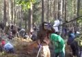 Массовое задержание незаконных добытчиков янтаря на Волыни. Видео