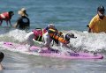 Седьмой ежегодный конкурс Surf City Surf Dog