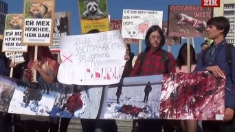 Марш в защиту животных в Киеве. Видео