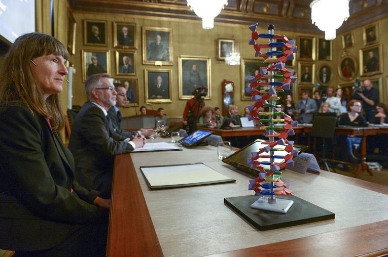 Модель ДНР стоит на столе у членом Нобелевского комитета в Стокгольме, где премия по химии была присуждена за исследование репараций ДНК