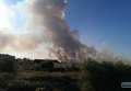 Пожар в плавнях в Одесской области