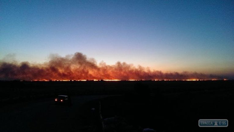 Пожар в плавнях в Одесской области