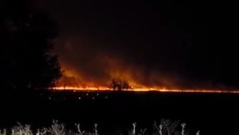 Плавни горят в Белгород-Днестровском районе Одесской области