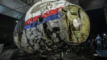 Часть реконструированной передней части фюзеляжа Boeing, сбитого под Донецком