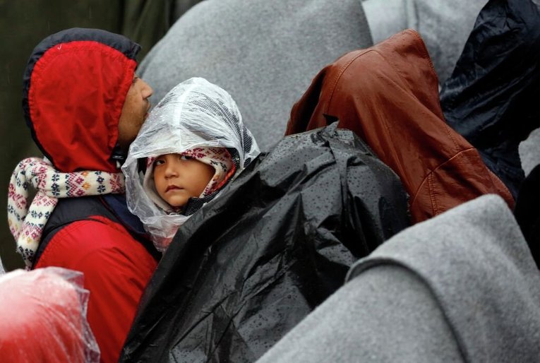 Мигранты на границе Сербии и Хорватии