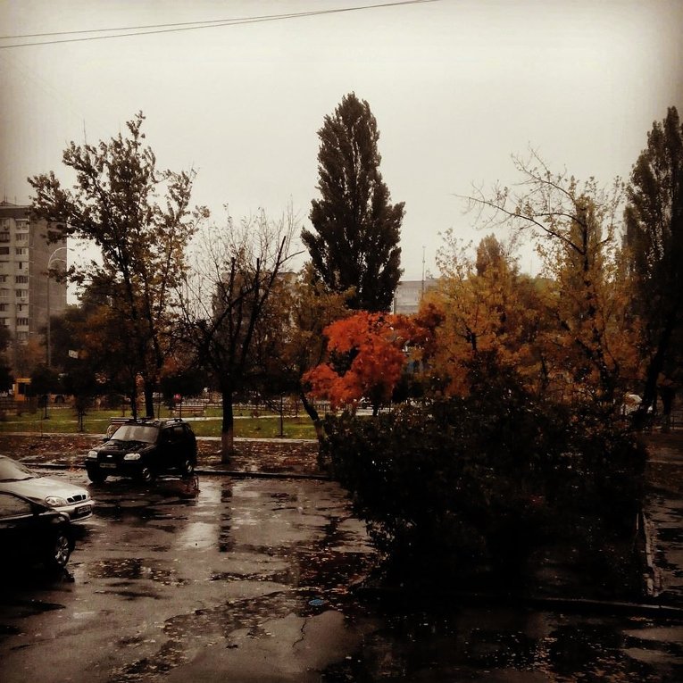 Дожди в Киеве