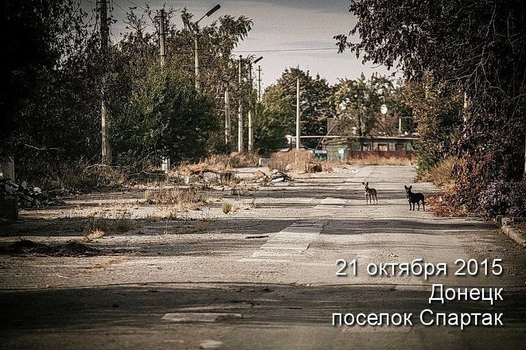 Ситуация в поселке Спартак под Донецком