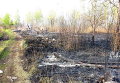 Место пожара в Бортничах в Киевской области