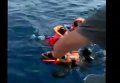 Турецкие рыбаки спасли ребенка беженцев. Видео