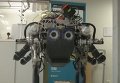 Робот-собака разработан в швейцарской лаборатории