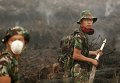 Пожар на торфяниках в Индонезии