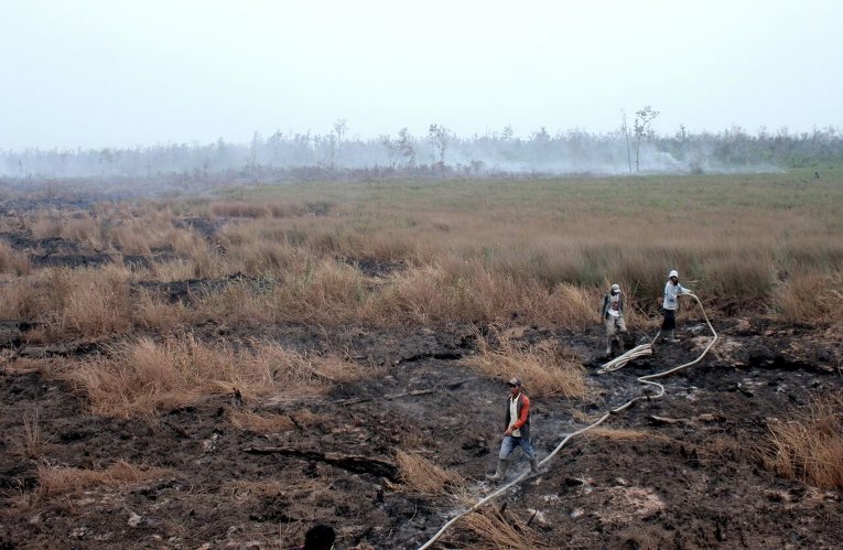 Пожар на торфяниках в Индонезии