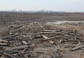 Остатки разорвавшихся боеприпасов в арсенале в Сватово Луганской области