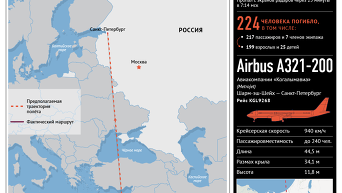 Крушение российского самолета А321 в Египте. Инфографика