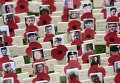 Кресты в память погибших Королевского британского Легиона в Афганистане