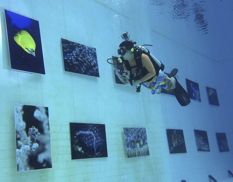 В Пекине открылась уникальная подводная фотовыставка