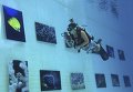 В Пекине открылась уникальная подводная фотовыставка